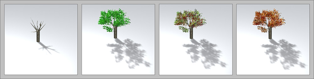 Baum (animiert)   3D-Beispielsignaturen auf einer ersten Generalisierungsstufe